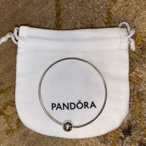 Pandora Bracelet New